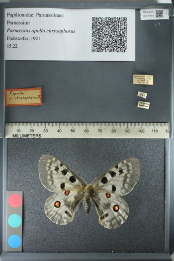 Media type: image;   Entomology 175451